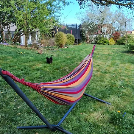 Charmants Le Nid De Lou Et Le Cocon De Théo à Rosheim