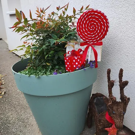 Apartamento Charmants Le Nid De Lou Et Le Cocon De Théo à Rosheim